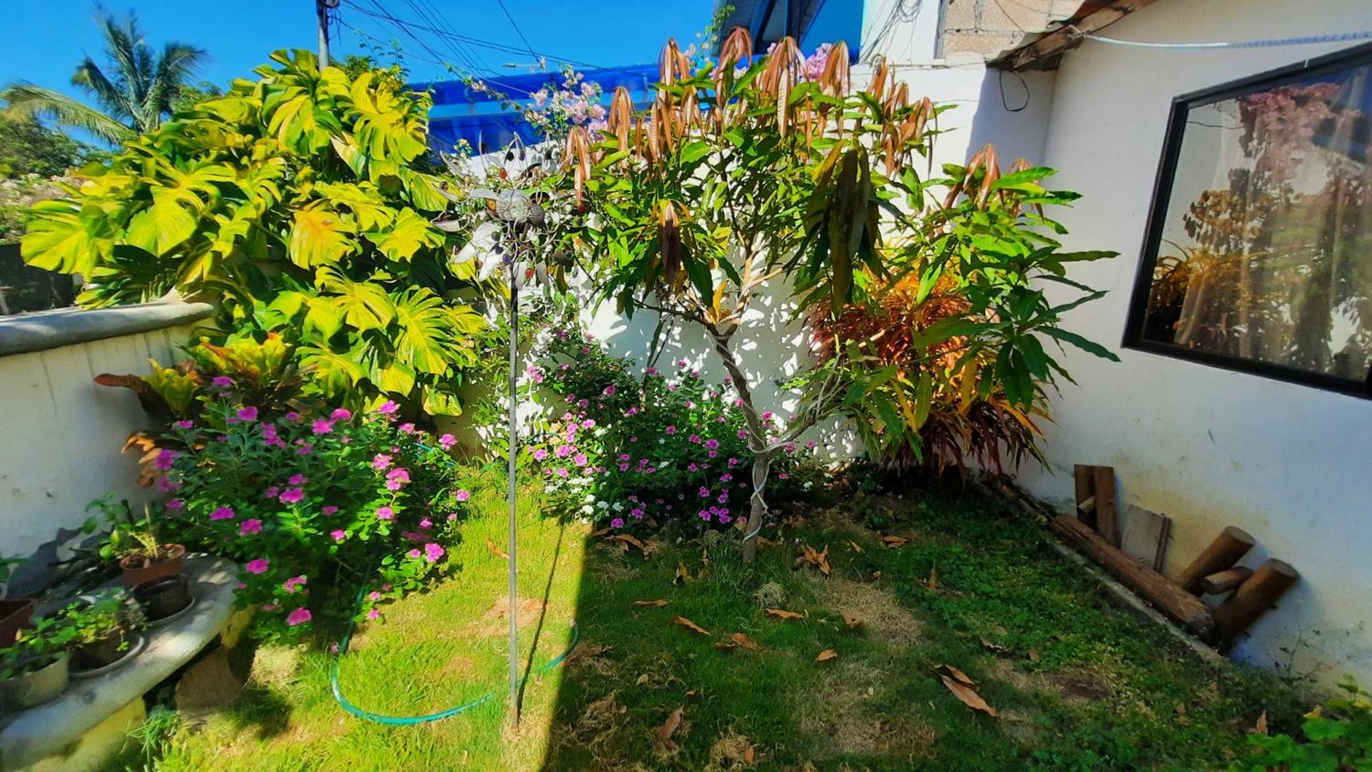 Alma De Cedrela Appartement Puerto Ayora  Buitenkant foto