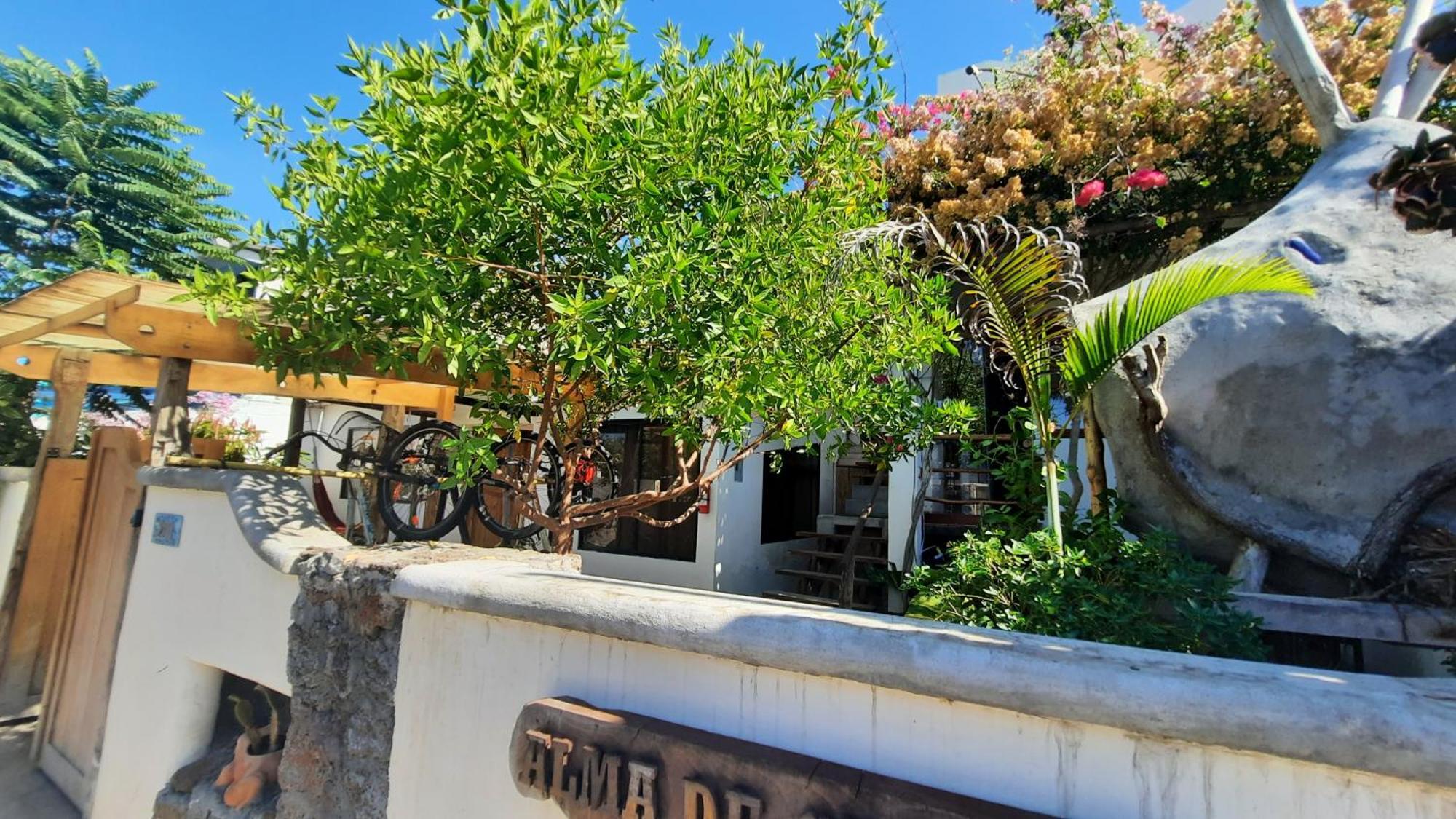 Alma De Cedrela Appartement Puerto Ayora  Buitenkant foto