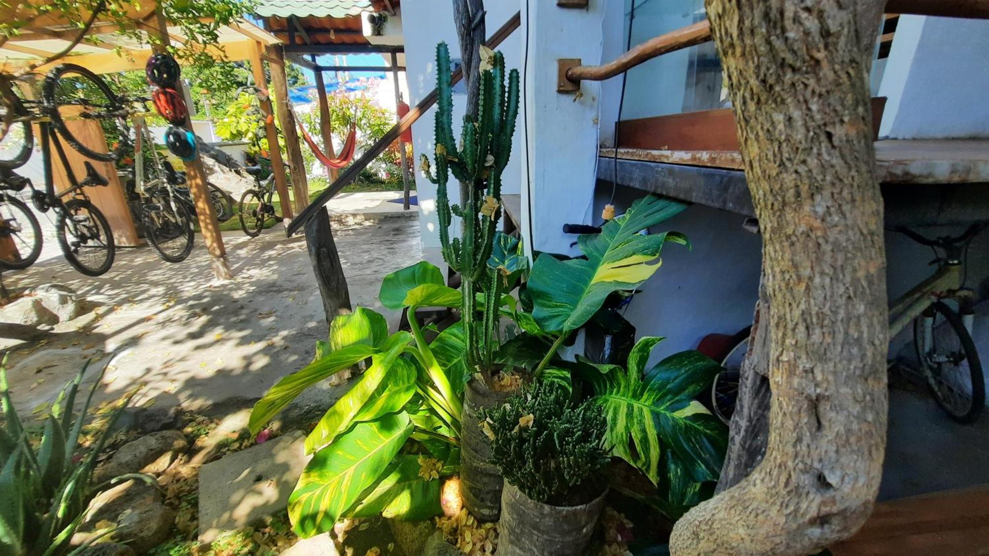 Alma De Cedrela Appartement Puerto Ayora  Buitenkant foto